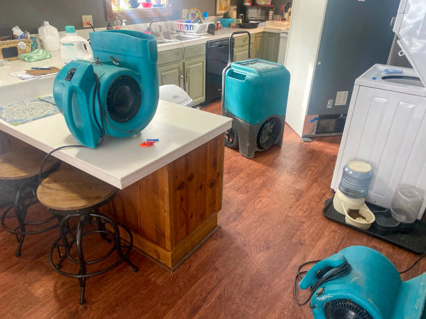 Best Basement water damage restoration  in Oconto, WI