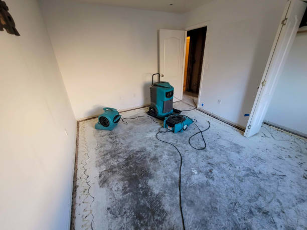 Best Water damage contractors near me  in Oconto, WI