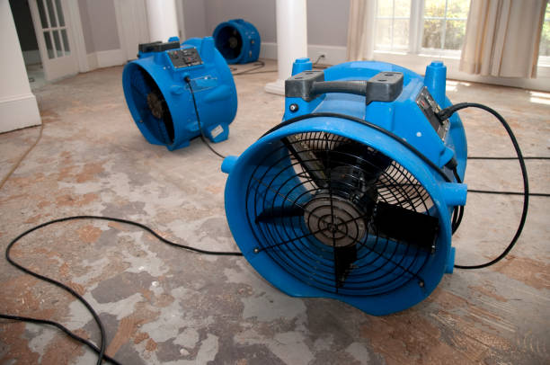 Best Water damage restoration near me  in Oconto, WI