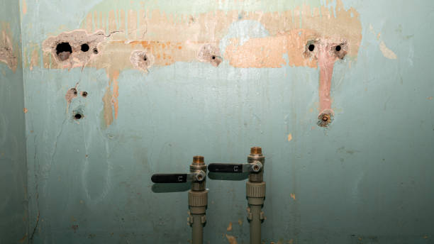 Best Water damage restoration near me  in Oconto, WI