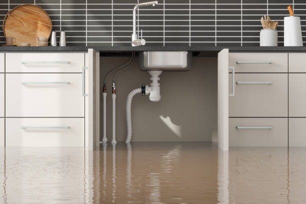 Best Water damage restoration services  in Oconto, WI