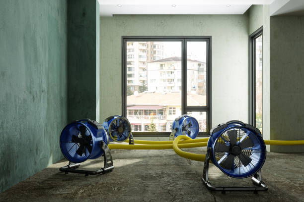 Best Professional water damage repair  in Oconto, WI